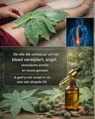 Wonderboom: een natuurlijke schat die in uw tuin groeit.
